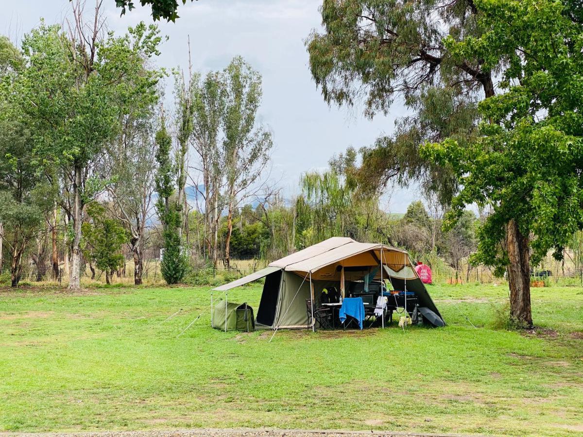 Corryong Caravan Park Formally Mt Mittamatite Caravan Park Eksteriør billede