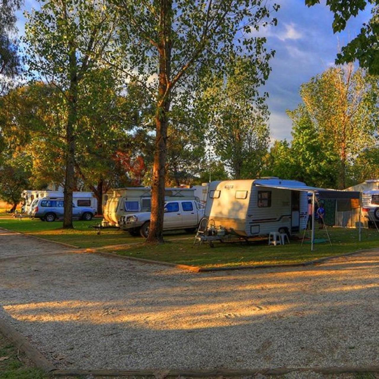 Corryong Caravan Park Formally Mt Mittamatite Caravan Park Eksteriør billede